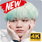 Suga BTS Wallpaper KPOP Fans HD icon
