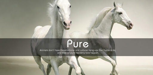 Pure|APUS Launcher theme PC screenshot