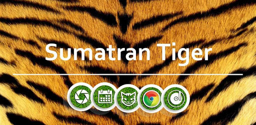 Wild Tiger -APUS Launcher theme PC screenshot