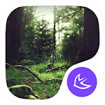 Green Fairy Tale Forest theme & wallpapers for PC