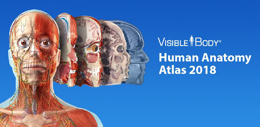 Atlas Subscription PC screenshot