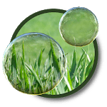 Magic Bubbles for PC Magic Bubbles for PC