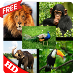 animal sounds natural icon