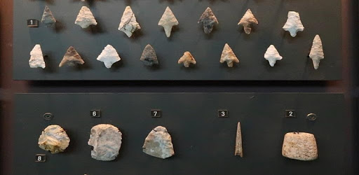 Arrowhead Identifier PC screenshot