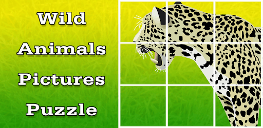 Wild Animals Pictures Puzzle PC screenshot