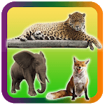 Wild Animals Pictures Puzzle for PC