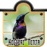 purple throated sunbird for PC