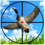 Bird Hunter : Sniper Duck Hunting Season War icon