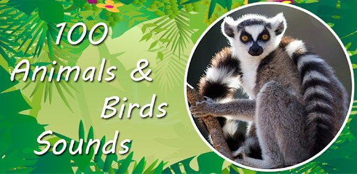 100 Animals and Birds Sound PC screenshot