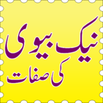 Naik Biwi for PC