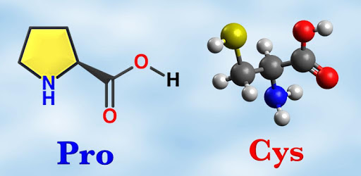 Amino Acids Structures - Quiz and Flashcards PC screenshot
