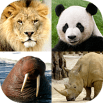 Animals Quiz - Learn All Mammals, Birds and more! for PC