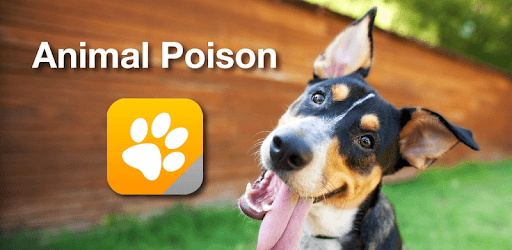 Animal Poison PC screenshot Animal Poison PC screenshot