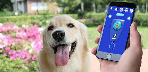 Dog Clicker Training PC screenshot