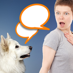 Dog Translator Simulator for PC Dog Translator Simulator for PC