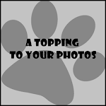 a topping to your photos for PC a topping to your photos for PC