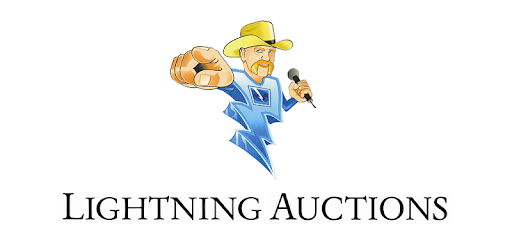 Lightning Auctions PC screenshot