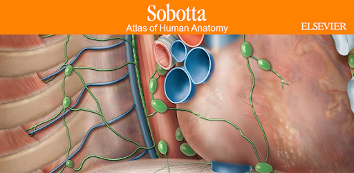 Sobotta Anatomy PC screenshot