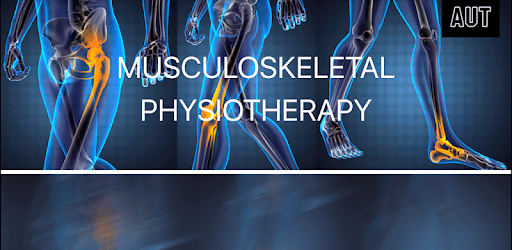 Musculoskeletal Physiotherapy PC screenshot