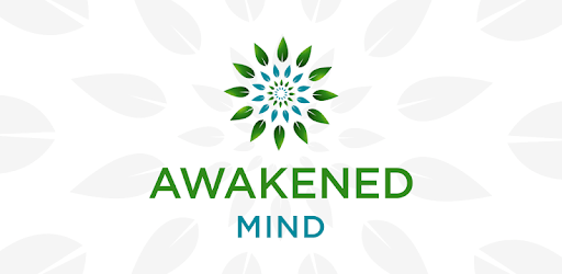Awakened Mind PC screenshot Awakened Mind PC screenshot