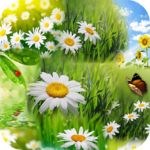 Spring Wallpaper HD icon