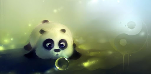 Cute Panda Wallpapers HD PC screenshot