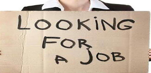 Job Seeker PC screenshot