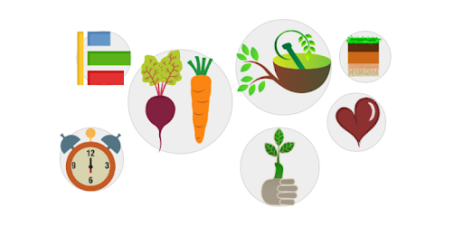 Veggie Grower PC screenshot