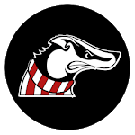 Badger Beat by madison.com icon