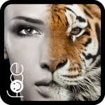 Beauty Face Plus :  face morphing icon