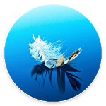 Feather Wallpapers for PC