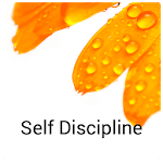 Self Discipline Affirmations icon