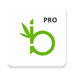 Bamboo Pro icon