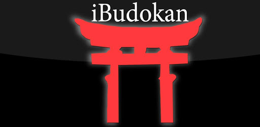 Aikido Intermediate 1 PC screenshot