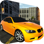City Car Driving icon
