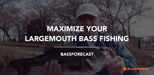 BassForecast PC screenshot