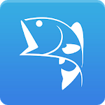 BassForecast icon
