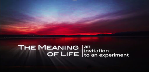 The Meaning Of Life Experiment PC screenshot