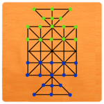 Sholo Guti (ষোল গুটি) - 16 Beads icon