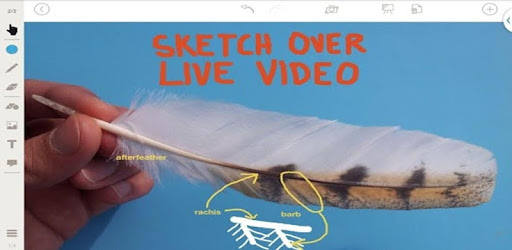 Stage: Whiteboard and Camera PC screenshot