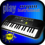 real organ instrument icon