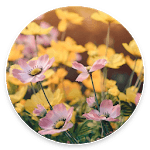 Garden Wallpapers for PC