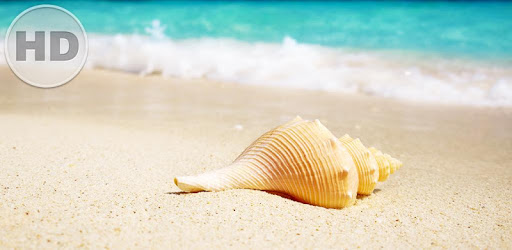 Free Background Images HD PC screenshot