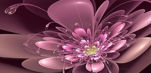 3D Flower Wallpapers PC screenshot 3D Flower Wallpapers PC screenshot