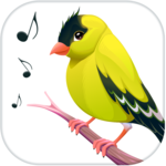 Bird Calls, Sounds & Ringtones icon