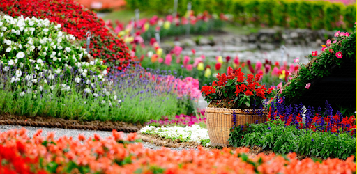 Garden Wallpaper HD Free PC screenshot