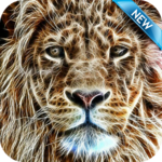 Lion Wallpaper HD Free for PC Lion Wallpaper HD Free for PC