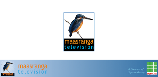 maasranga television PC screenshot maasranga television PC screenshot