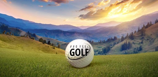 Pro Feel Golf PC screenshot