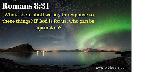 NLT Bible PC screenshot